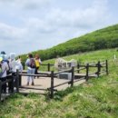 초록화원 이미지