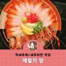 애월의밤(당오뎅)
