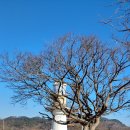 나래행정사사무소 이미지