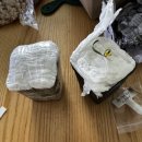 재은농장 | 오랜만에 식물 입양 ! <아프리카농장>사르탄투스 스피랄리스 , 리톱스 9종모둠)