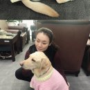 조이마트 이미지