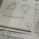 유성대학약국 | 16주 2차기형아검사/양수검사 후기/ 김건우 산부인과 양수검사 후기