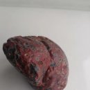 ﻿우연히 만난 화성 운석 : 신장 홍이딘석 운석 이미지