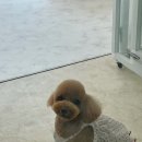 마음이네 멍발소 이미지