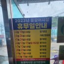 [강구항 활어 포장 추천] 동광 어 시장 내 돈 내산 방문 후기 소라(살고동) 사는 꿀팁과 찌는 시간까지