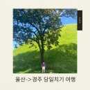 경주역 | 당일치기 아이랑 기차 타고 태화강역에서 경주역 울산에서 경주여행 후기