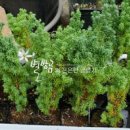 별밤농장 이미지