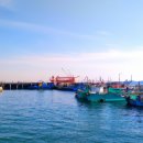 도장포어촌체험마을 이미지