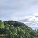 달하노피곰 캡슐호텔 이미지