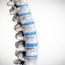 백년튼튼 정형외과 재활의학과의원 이미지