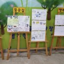 대전대양초등학교 이미지