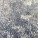 주안4동주민센터 이미지