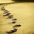 엘플레이트풀빌라 이미지