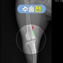 신동동물병원 이미지