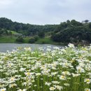 피어나공주 네이버블로그