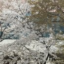 사랑에 빠진 것 같은 느낌