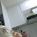 태성식품 식이섬유많은 과일즙 차올라 과일탕 스틱형 영양음료 구매후기