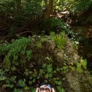 원투쓰리 이미지