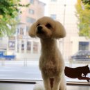 연두 동물병원 이미지