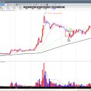 정다운모터스 이미지