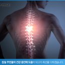 리센츠정형외과의원 이미지