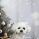 관저남로 이미지