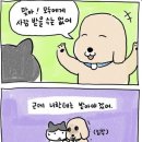 핫한 그 회사, 진짜 잘 나갈까 | 삼양씨즈 9기 최종 합격 후기!! 서류부터 면접까지 전부 공개🌱 (개인지원, 우대 사항 지원)