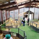 산토끼노래동산 이미지