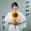 가시버시 이미지
