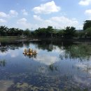 그린수산 이미지