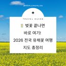 황룡강변(좌안)국가하천 자전거도로-1 | 🌼 벚꽃 끝나면 바로 여기! 2026 전국 유채꽃 여행 지도 총정리