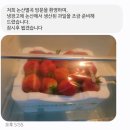 논산별곡 | [논산별곡]논산훈련소 근처 민박 독채 후기(내돈내산)