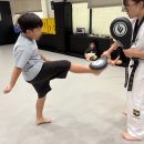 금빛발차기태권도장 이미지