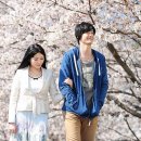 카와무라 리카 카카오 검색결과