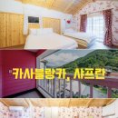 아우라지강변펜션 | 가족과 함께, 반려견과 함께 떠나는 정선여행! 여기 펜션 찐 추천해요!넓고 예쁘고 가성비 최고!