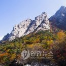 금강산 이미지