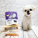 멍냥이꼬 이미지