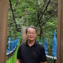 두엽계 풍란 정리(1)...오모토님 이미지