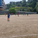 사리운동장 이미지