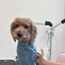 오늘의개스트 이미지