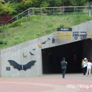 동굴생태관 화장실 이미지