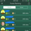 혹시 forest 앱으로 공부하시는 분 계신가요? 이미지
