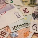 비선농장 이미지