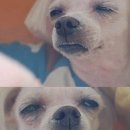 모현당구클럽 | 용인 1회 클럽크루즈 고정번개 후기