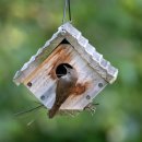 산마번역행정사사무소 이미지