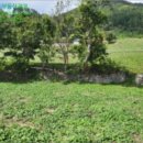 사동리 해안변 이미지