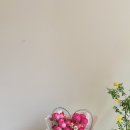 꽃;마음담다