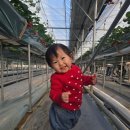 수향농장 이미지