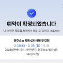 경주숙소 빌라실라 황리단길점 | [경주] 빌라실라 202호 - 편백 사우나가 있는 황리단길 근처 감성 숙소, 6인 숙박 내돈내산 후기(퀸...