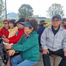 (2024.04.24)신라 총동 산우회 북항문화공원 수변산책로를 걷고 왔습니다 이미지